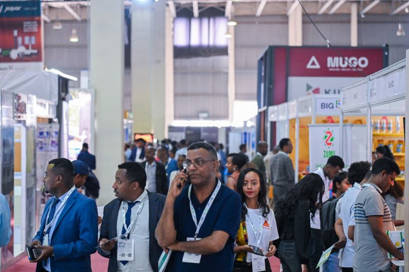 445046806_852 18673029050 7_790536580459458866668_N